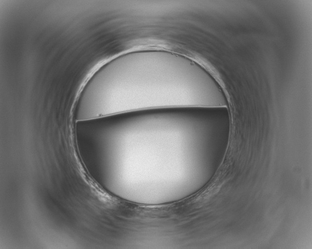 X0000060271488200510281022