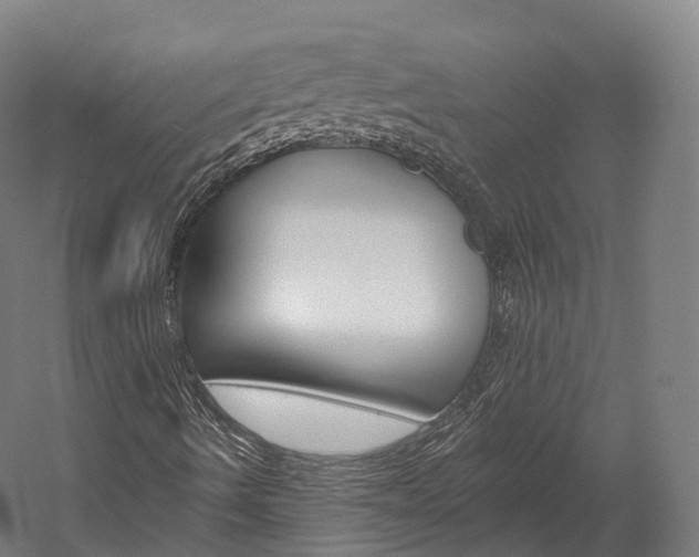 X0000060271490200510281021
