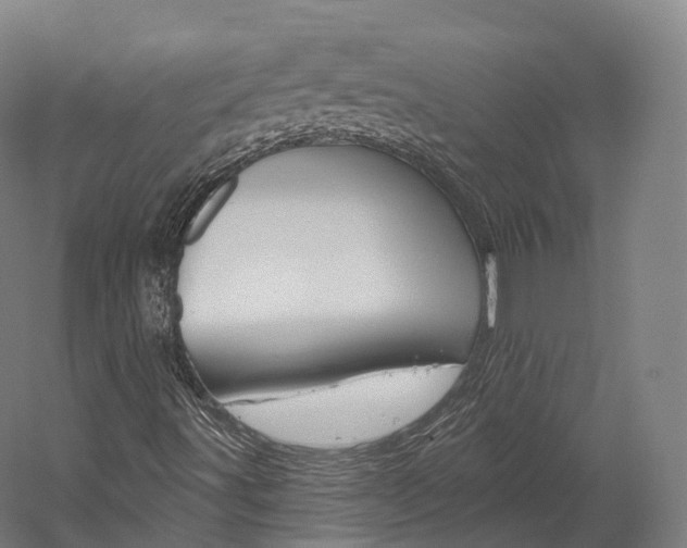 X0000060271491200510281021