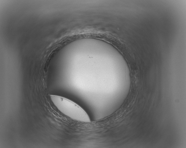X0000060271493200510281021