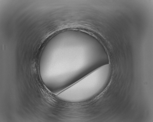 X0000060271497200510281021