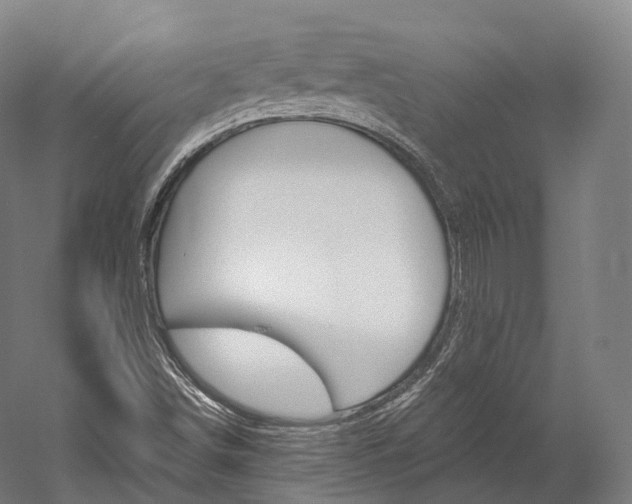 X0000060271498200510281021