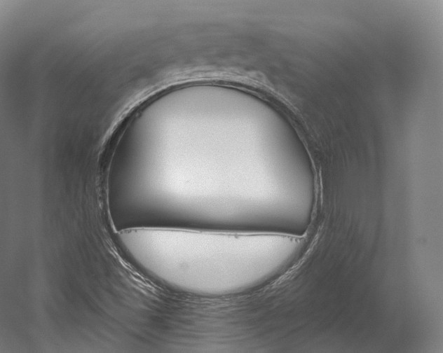 X0000060271501200510281021