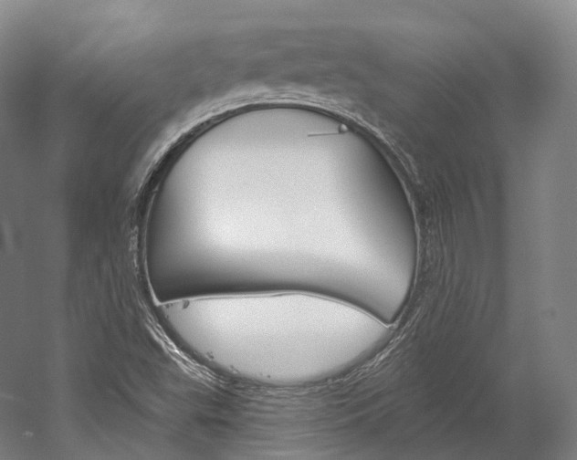 X0000060271503200510281021