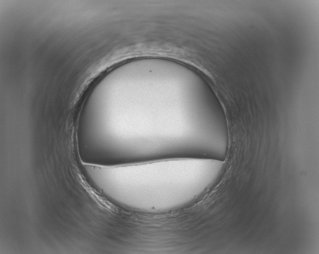 X0000060271507200510281021