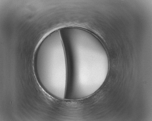 X0000060271508200510281021