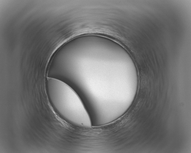 X0000060271513200510281021