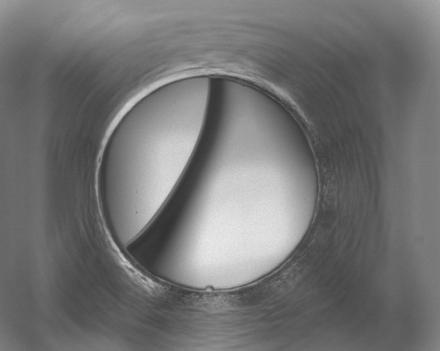 X0000060271516200510281021