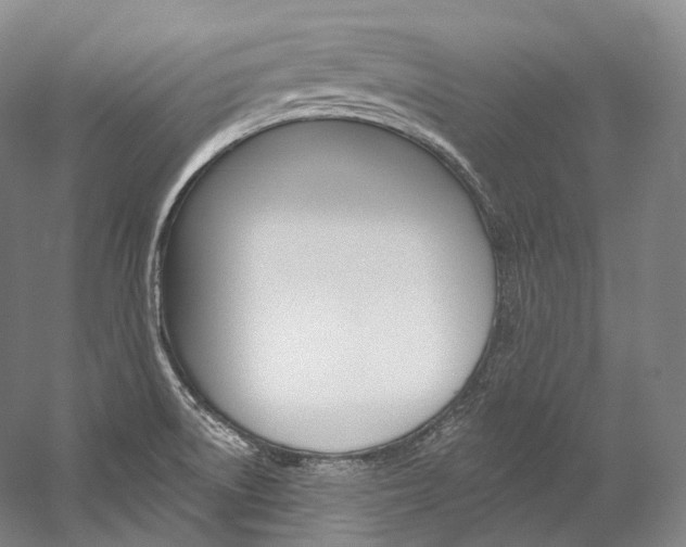 X0000060271522200510281021