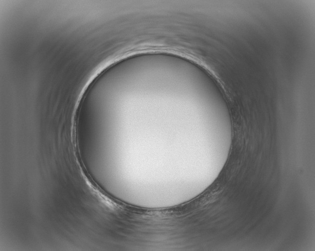 X0000060271527200510281022