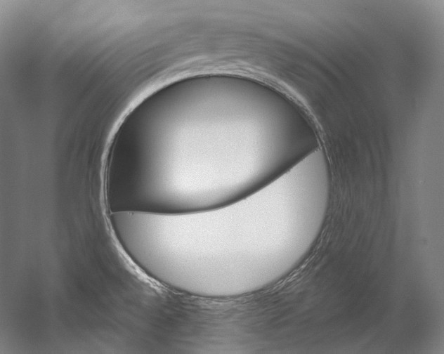 X0000060271528200510281022