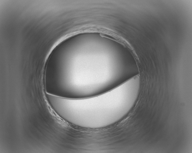 X0000060271530200510281022