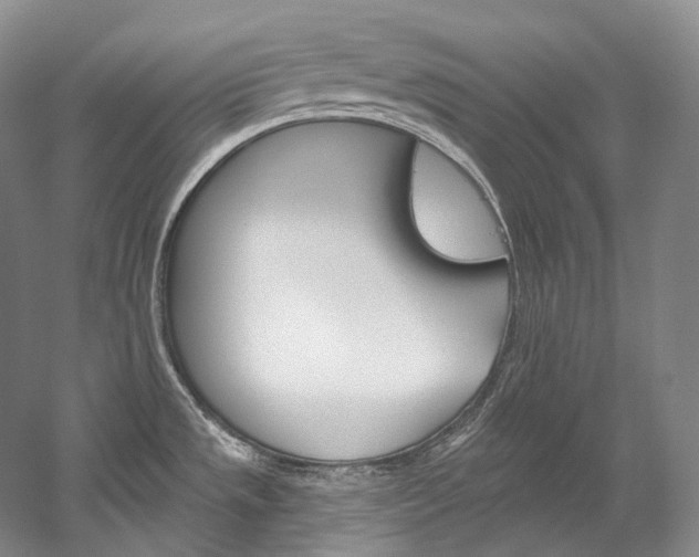X0000060271533200510281022