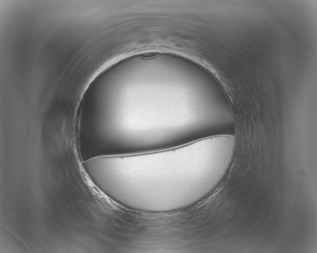 X0000060271534200510281022