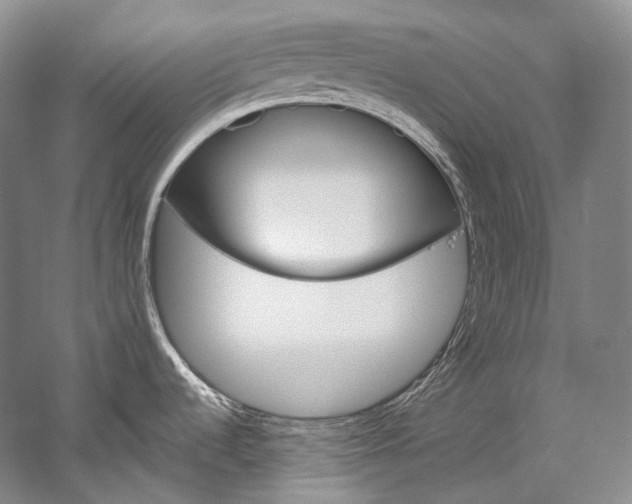 X0000060271536200510281022