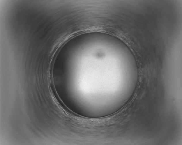 X0000060270002200510281244