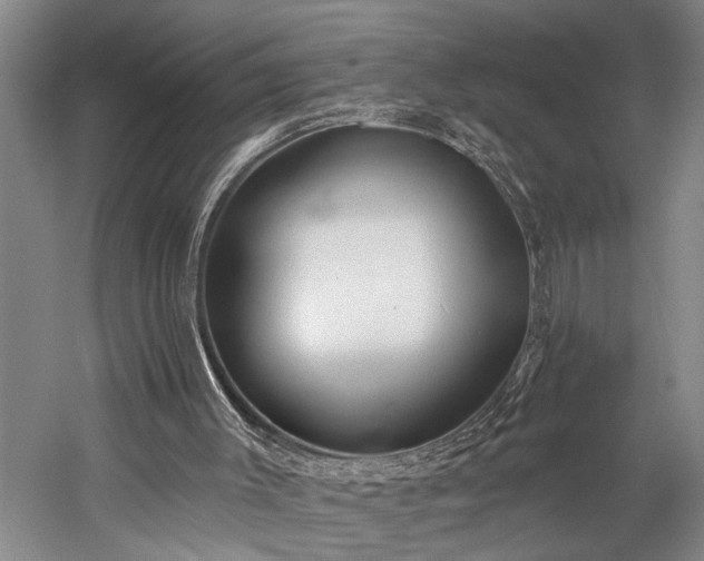 X0000060270003200510281244