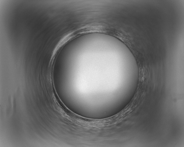 X0000060270004200510281244