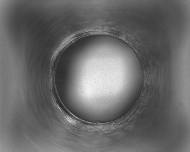 X0000060270005200510281244