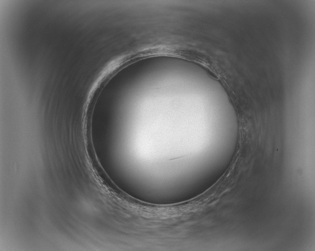 X0000060270006200510281244