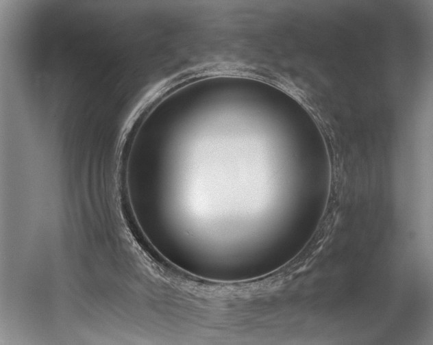 X0000060270007200510281244
