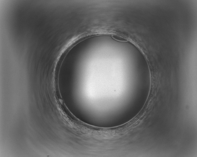 X0000060270008200510281244