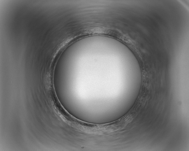 X0000060270012200510281244
