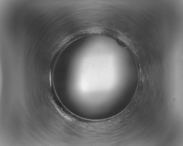 X0000060270013200510281244