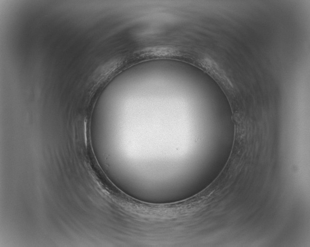 X0000060270014200510281244