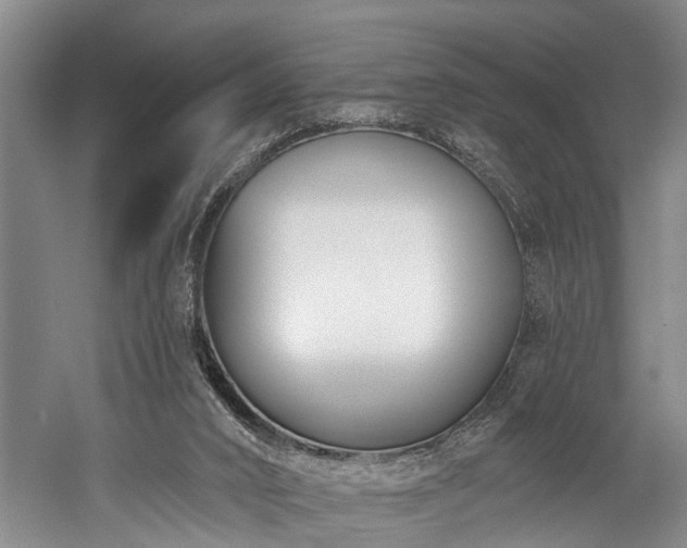 X0000060270016200510281244