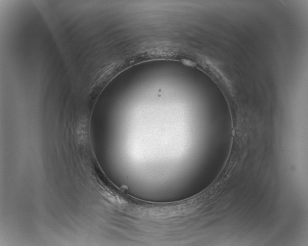 X0000060270017200510281244
