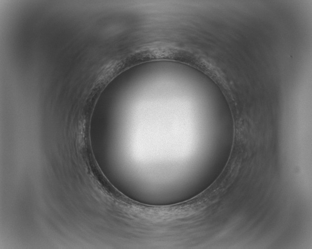 X0000060270018200510281244