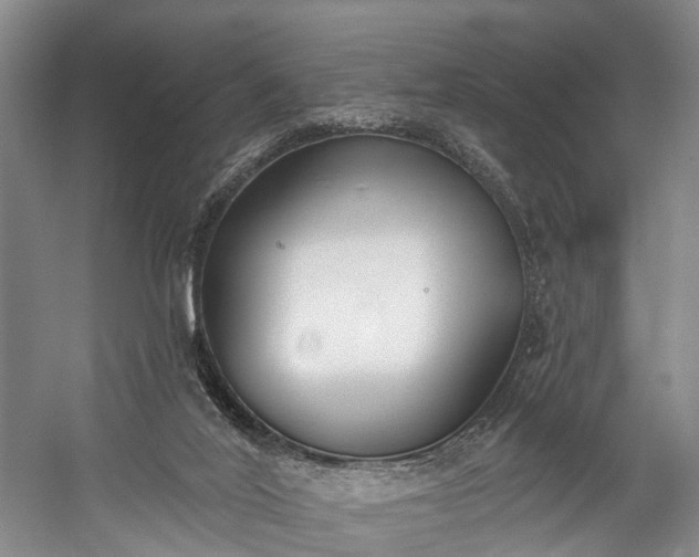 X0000060270020200510281244