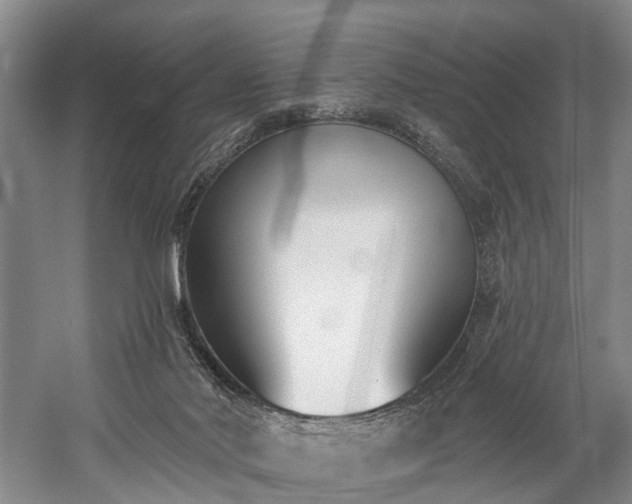X0000060270022200510281244