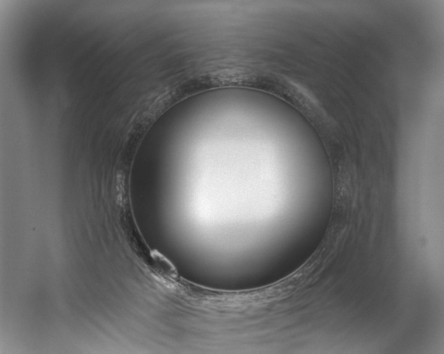 X0000060270025200510281243