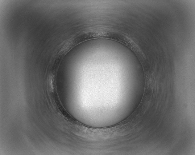 X0000060270026200510281243