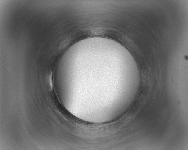 X0000060270028200510281243