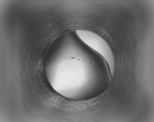 X0000060270029200510281243