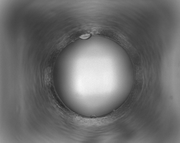 X0000060270030200510281243
