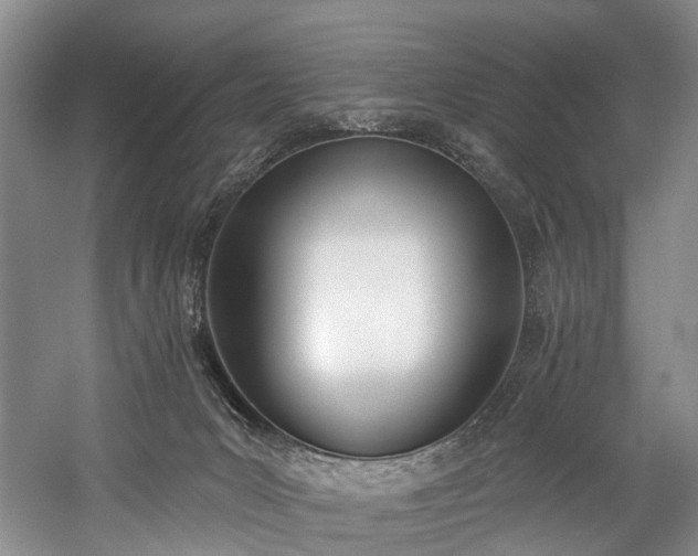 X0000060270031200510281243