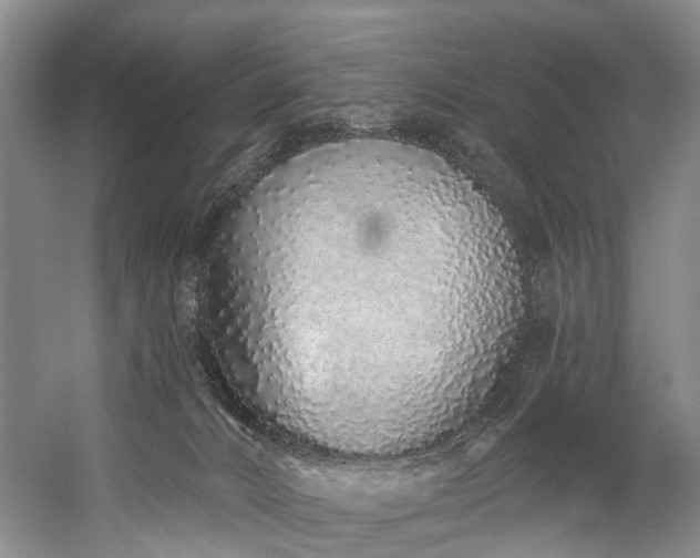 X0000060270032200510281243