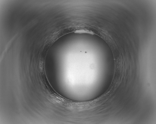 X0000060270033200510281243