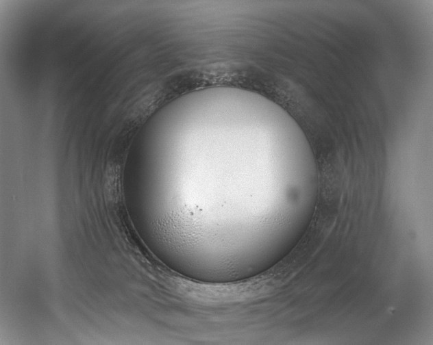 X0000060270034200510281243