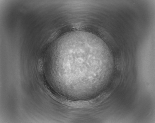 X0000060270036200510281243