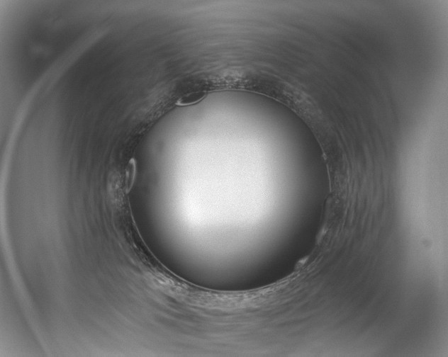 X0000060270037200510281243