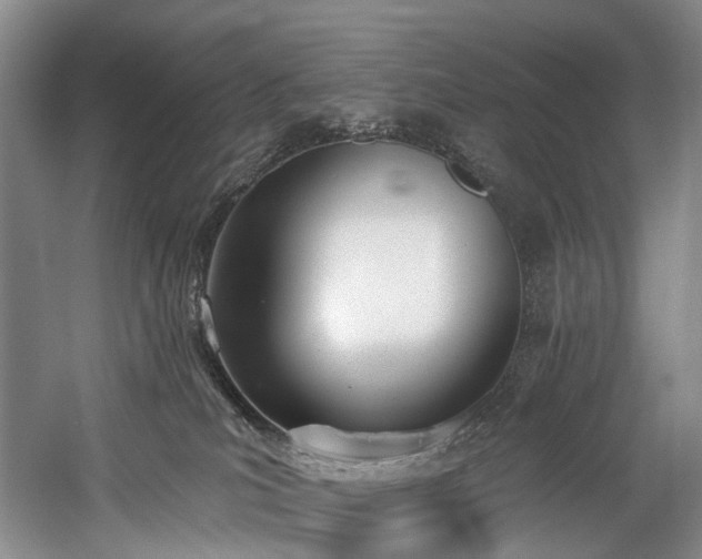X0000060270039200510281243