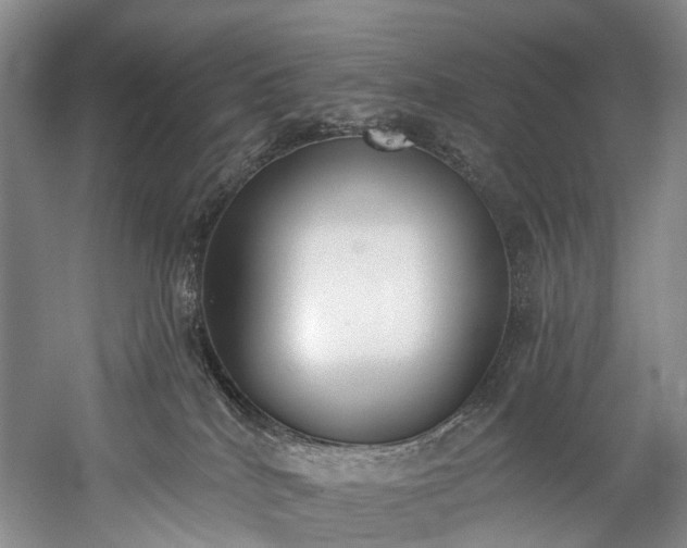 X0000060270040200510281243