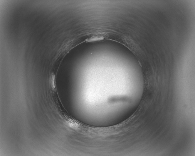 X0000060270041200510281243
