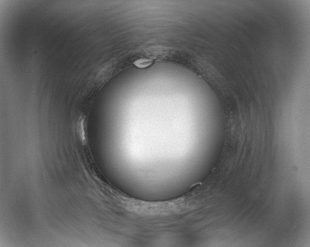 X0000060270042200510281243