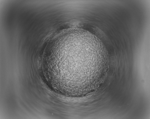 X0000060270043200510281243